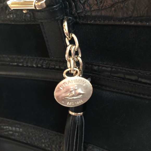 Brahmin med Asher - Picture 4 of 7